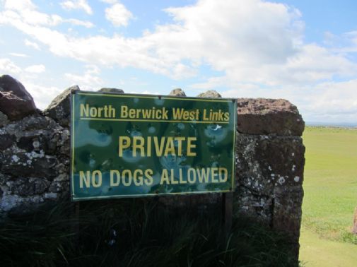 Koirat eivät golfaa - edes Skotlannissa.