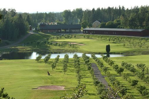 Naantalin Aurinko Golf on Turun alueen kentistä jäsenmäärältään suurin.