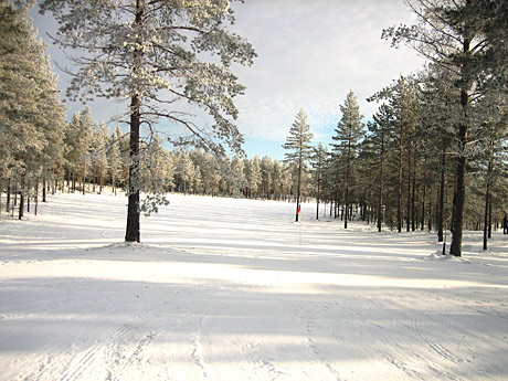 Runsaslumiset talvet tuovat ainakin kantapään kautta opittua tietoa Etelä-Suomen kentille.