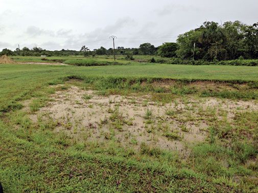 Sadekausi aiheuttaa kentänhoitoon omat haasteensa, Golf de 3 Collines.