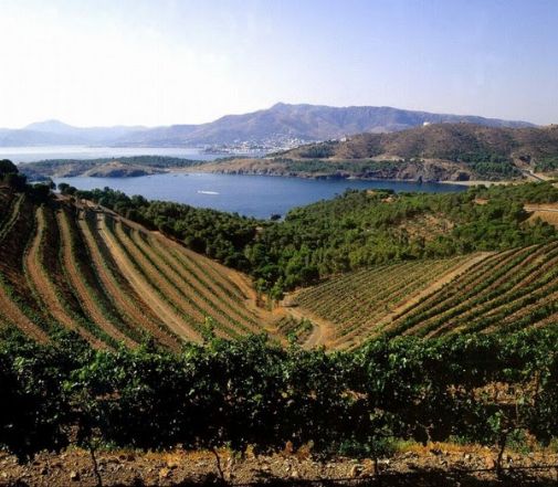 Alue on tunnettu Perelada-viineistään ja Cavasta.